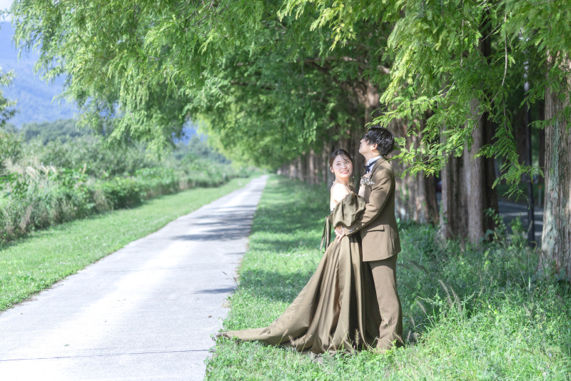 メタセコイアの素敵なところは