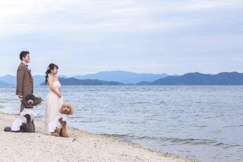 100点満点のワンちゃんカット。