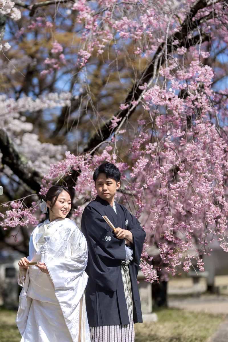 まずは絢爛な枝垂れ桜の前で。
