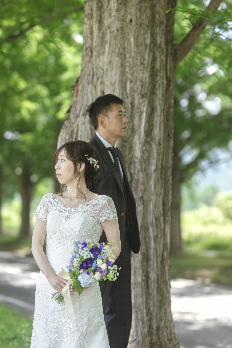 夏は本当に気持ち良いメタセコイア並木道