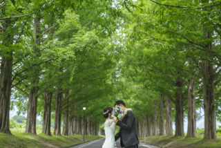 大人なお二人のメタセコイアと琵琶湖のロケーションフォト。