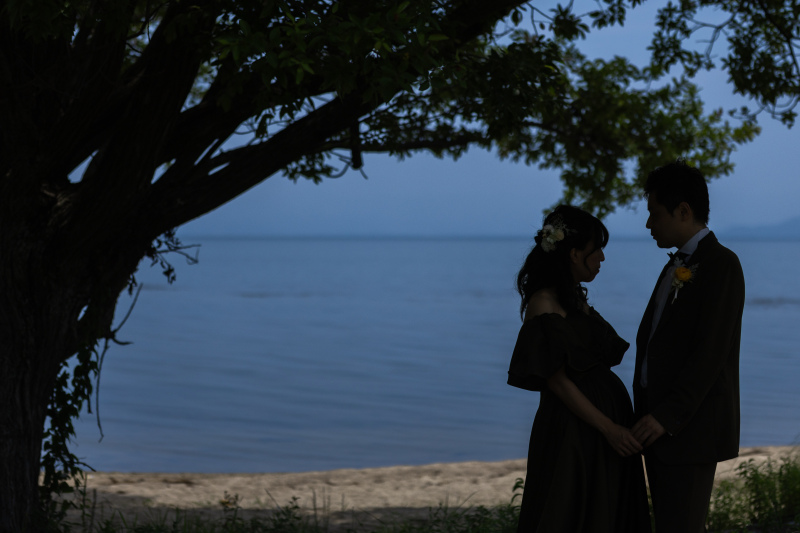 強い日差しの時は木陰でシルエット。