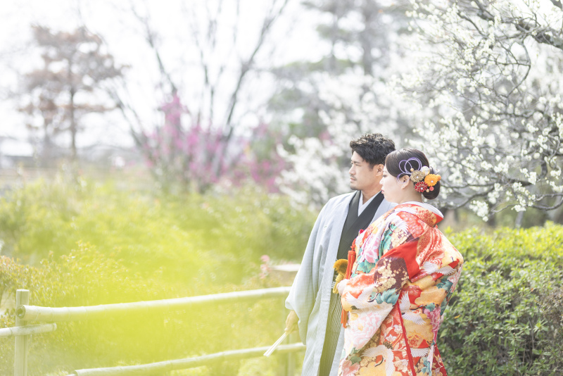 春の空気の京都で色打掛撮影から★