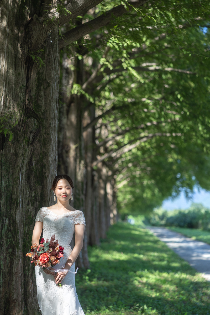 木漏れ日が素敵なメタセコイア。
