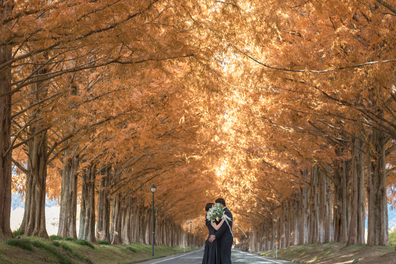 秋のメタセコイア＆琵琶湖でのドレス2着撮影★