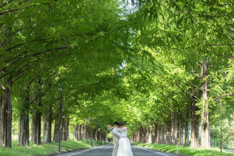 車道側も貸し切り状態。