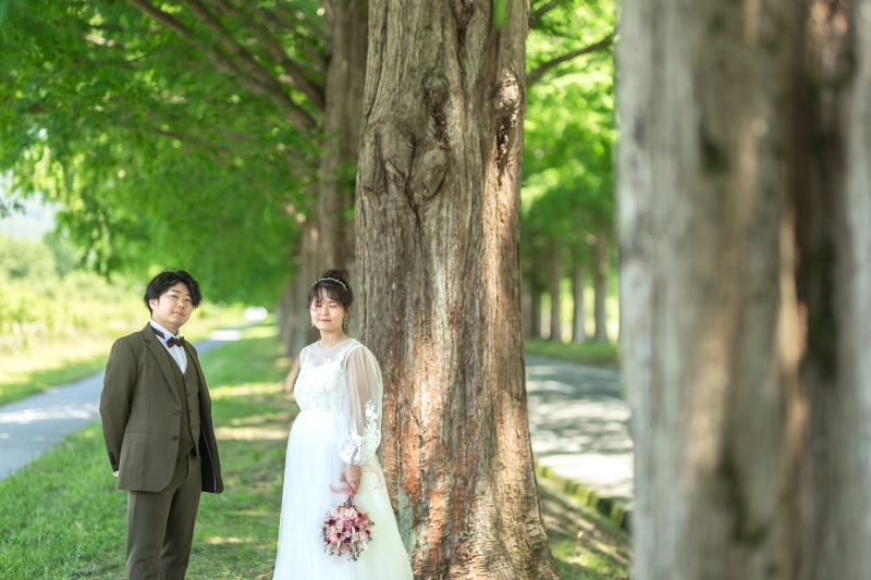 ヘアメイク完了後メタセコイア並木道へ。