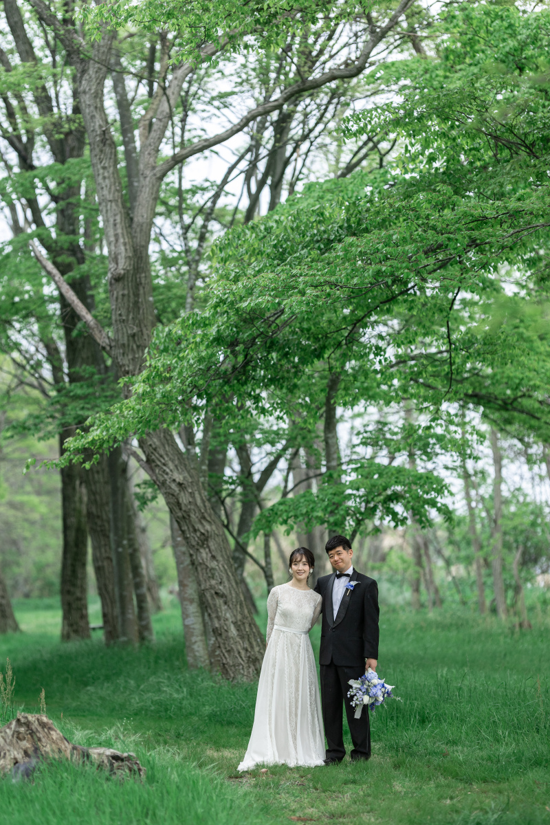 美しい森。