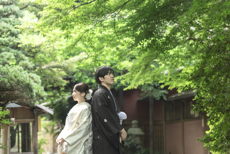 夏の光と新緑の中で。