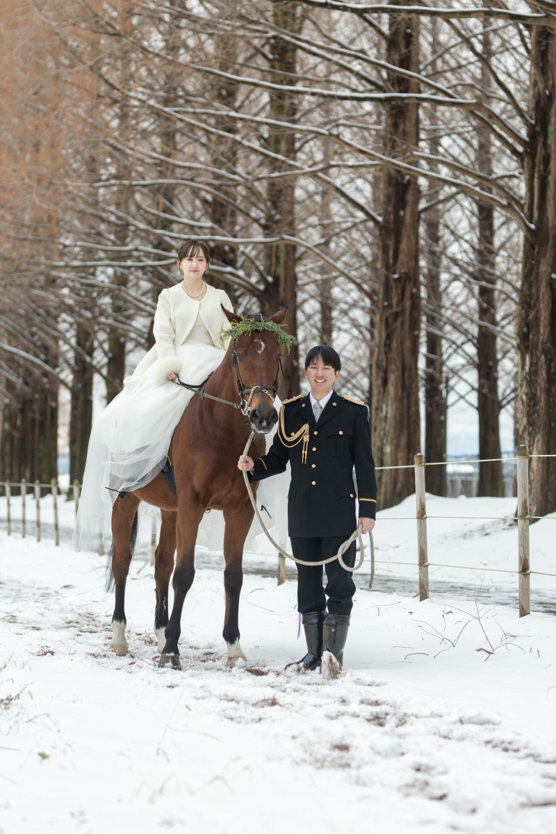 お馬さんも目線をくれるようになりました。