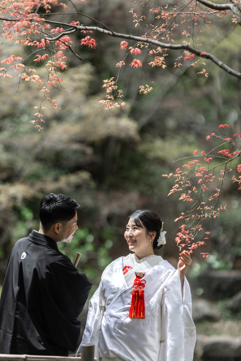 レアな春の紅葉新芽は実はフレッシュなオレンジ。