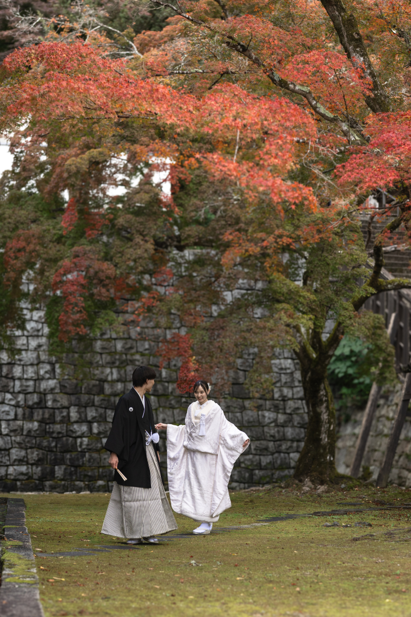 和装でも動きのあるカットを。