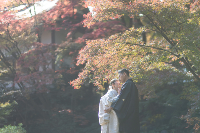 えもいわれぬ逆光のなかでハグ。