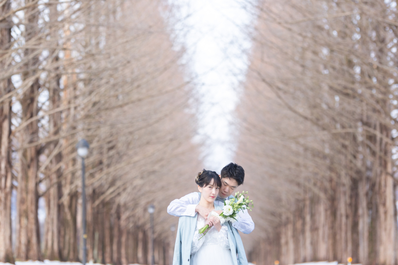 そしてメタセコイア並木道へ。