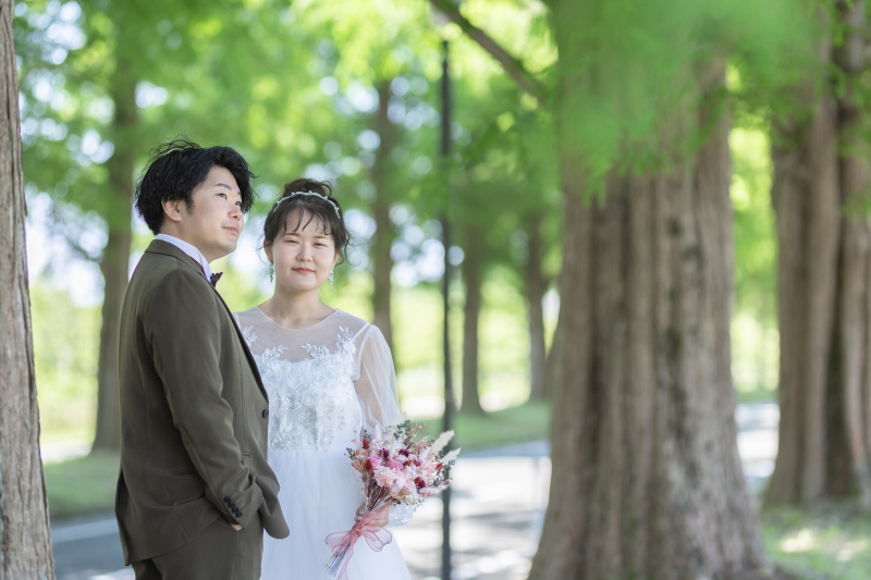 メタセコイアはいろんな角度から撮影が可能。