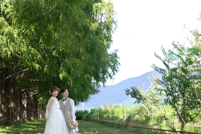 まずはメタセコイアの遊歩道で。