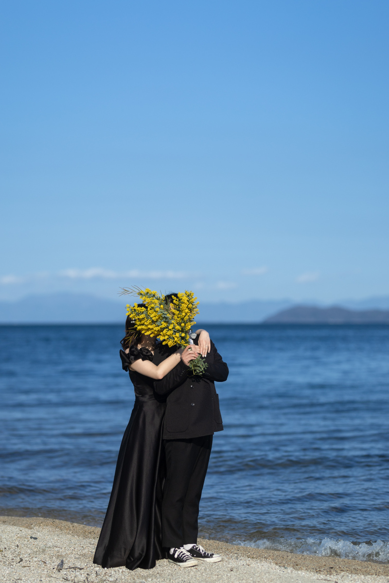 来年春のミモザはプレゼントします。