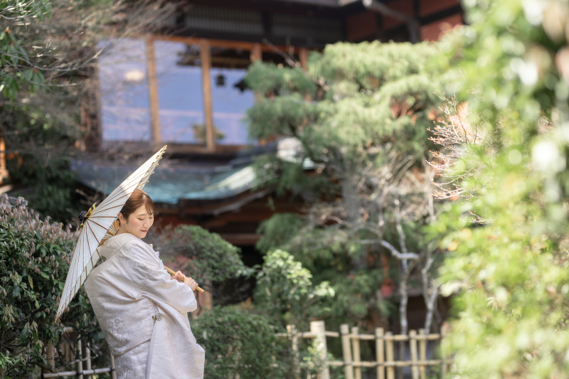 とはいえこの日素敵だったのは緑と光。