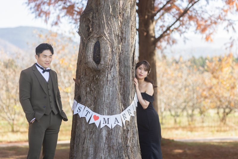 メタセコイアにガーランドをかけて★