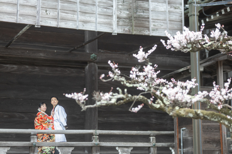 この日は立派な白梅が迎えてくれました。