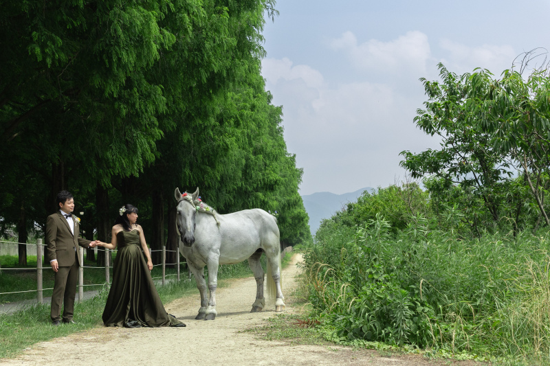 メタセコイアの近くまで誘導していただけました。