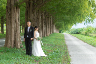 素敵な大人のお二人のメタセコイア＆琵琶湖ロケーションフォト