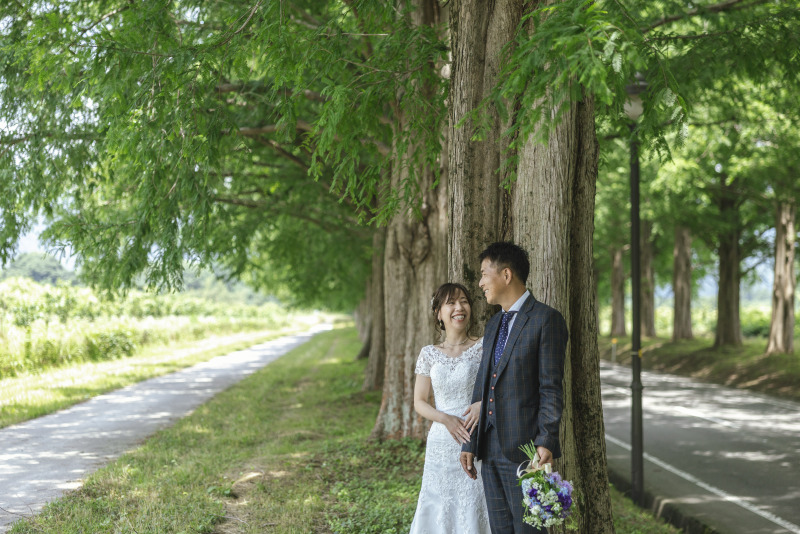 メタセコイア並木のポテンシャル。