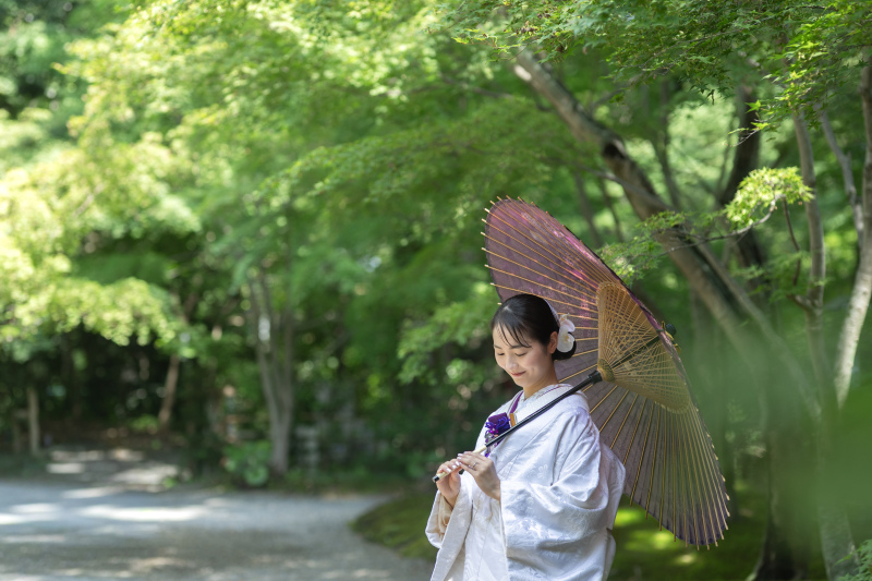 色物の和傘も素敵。