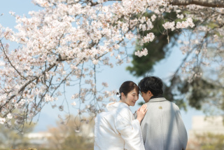 桜と琵琶湖を存分に楽しんだおかわいすぎる二人のロケーションフォト