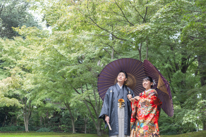 もう今は色づき始めていますが。