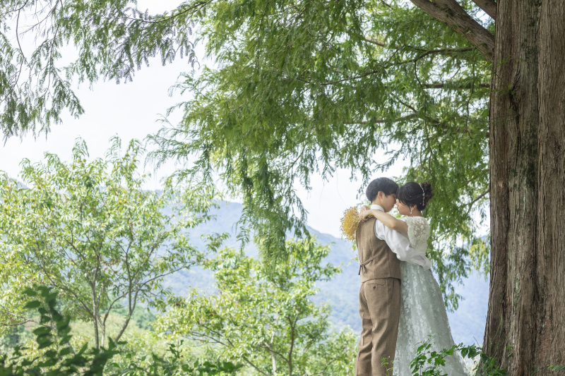 逆光ハグも素敵なメタセコイア★