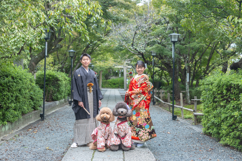 まずはご参道で。