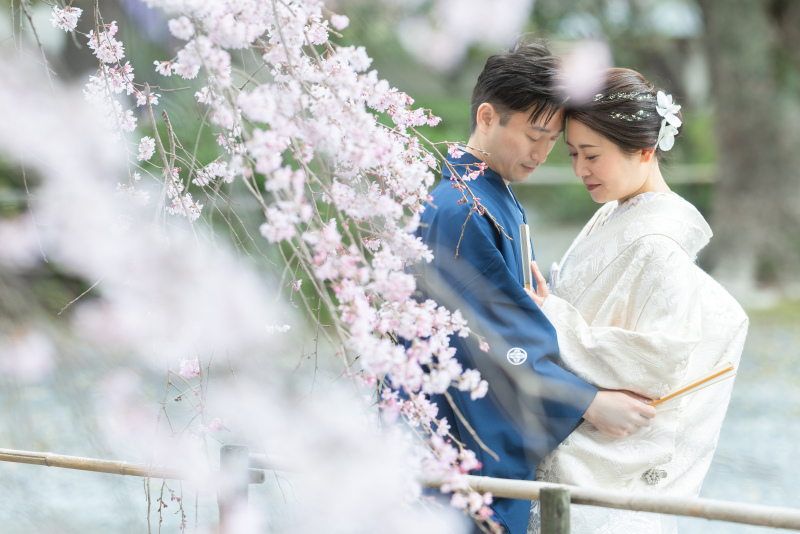 今年も桜は枝垂れから。