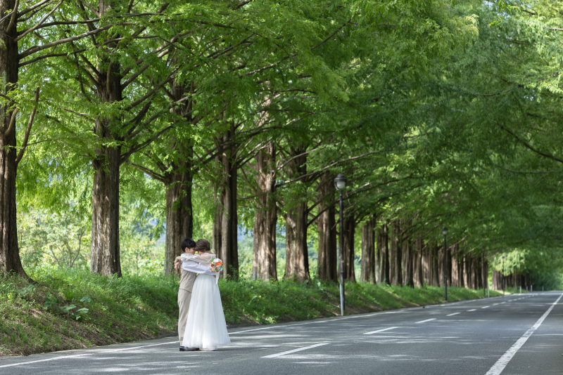 メタセコイアの奥行きはこんな感じです。