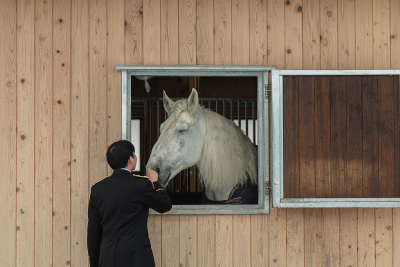 二度目となる馬の森さんでの撮影は。。。