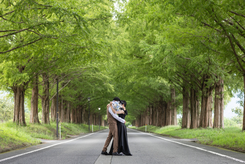 この時期のメタセコイア