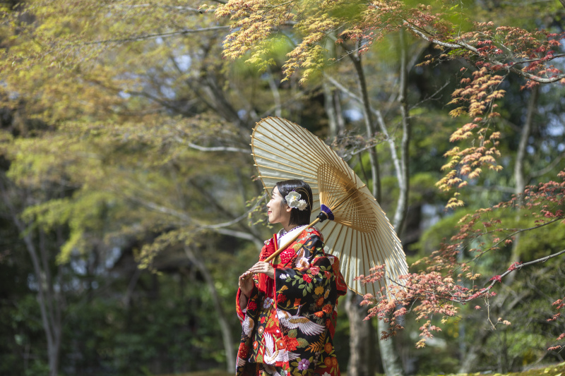 新緑紅葉の新芽は色とりどり。