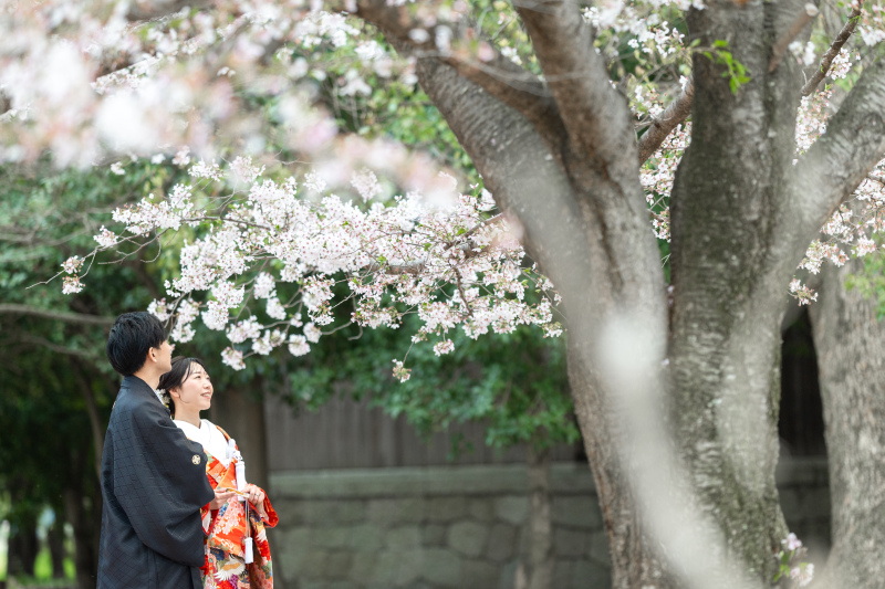 桜のこと。