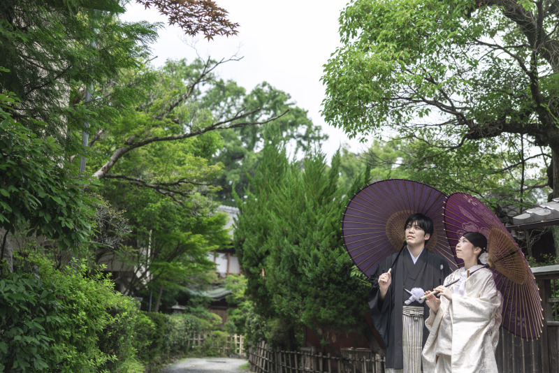 最近お気に入りの紫の和傘×２