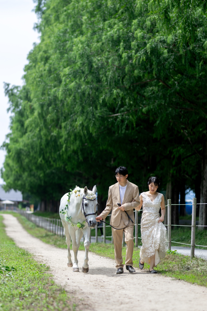 まずはお馬さんと触れ合う時間。