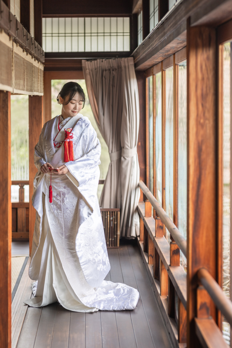 美しいの一言。