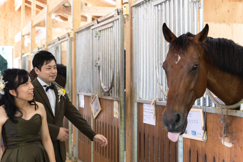 まずは厩舎見学。