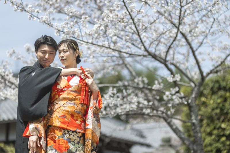 まずは日吉大社の桜撮影。