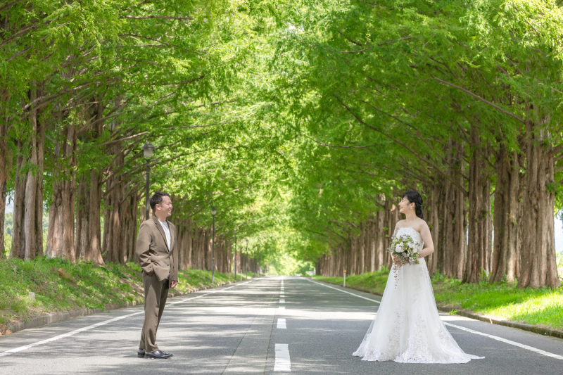 まずはメタセコイア並木道★