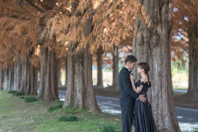 ★美しくテラコッタに染まったメタセコイアで★