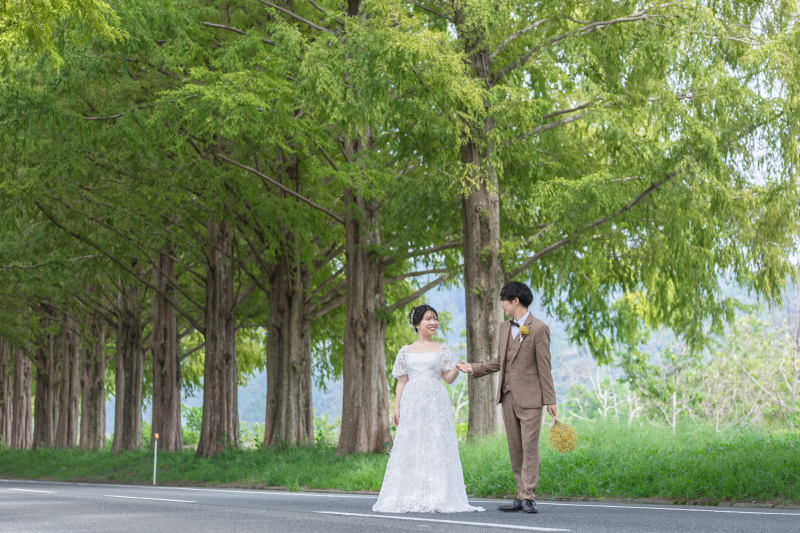 たっぷりメタセコイアの撮影を★