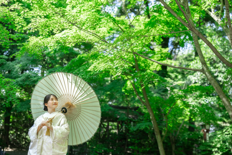 新緑の美しい季節。