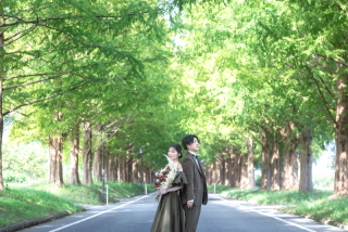 初秋のメタセコイアと美しい光の琵琶湖ロケ