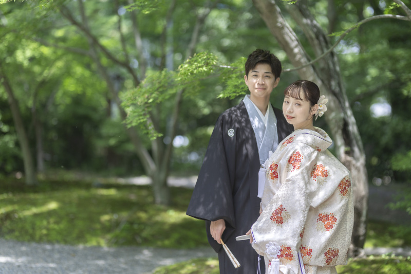 新緑の季節が始まります。