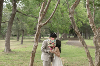 wacoya for wedding_《滋賀》ミステリー森琵琶　場所いろいろ